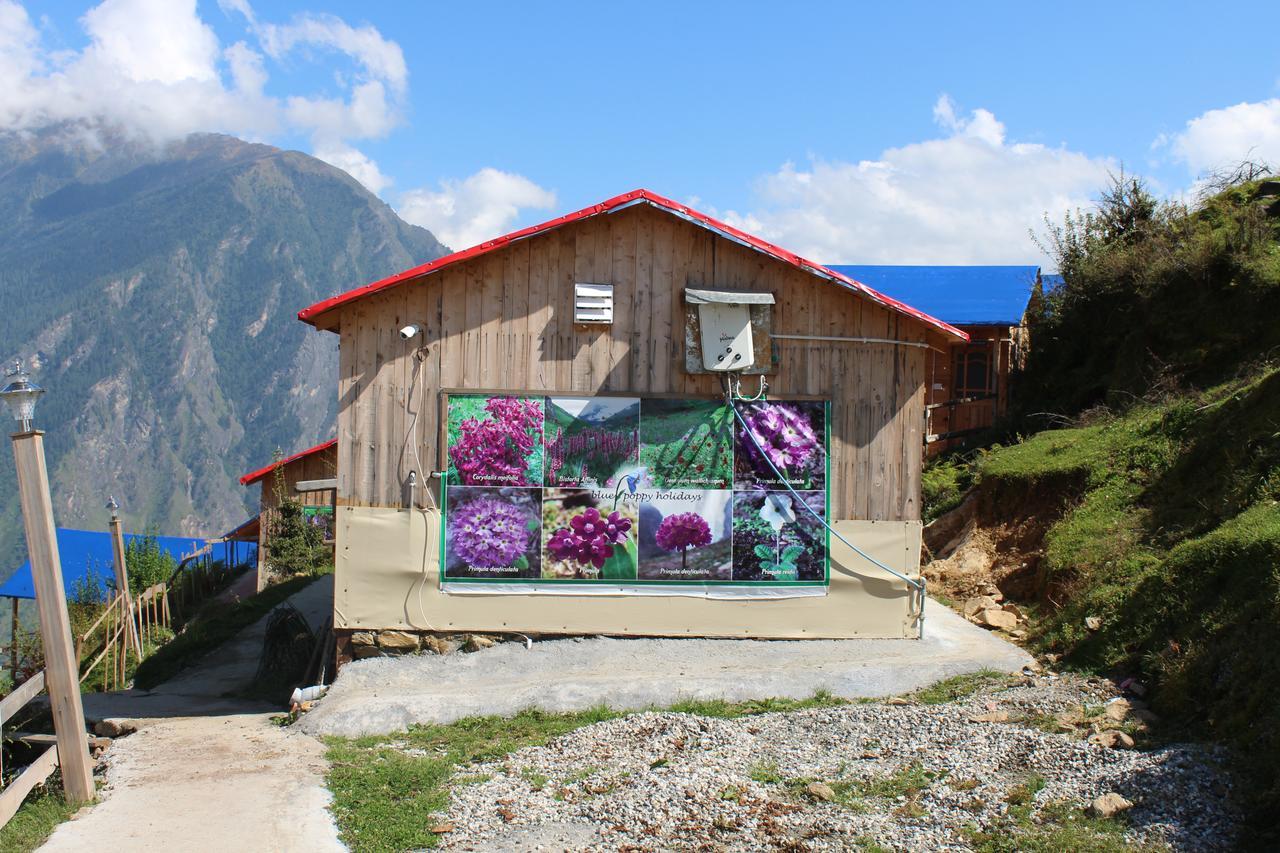 Blue Poppy Resorts Joshīmath Dış mekan fotoğraf