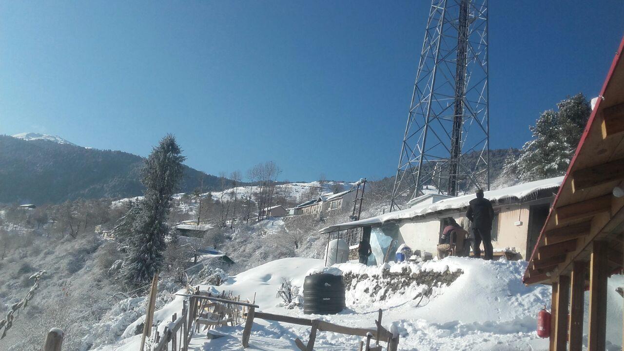 Blue Poppy Resorts Joshīmath Dış mekan fotoğraf